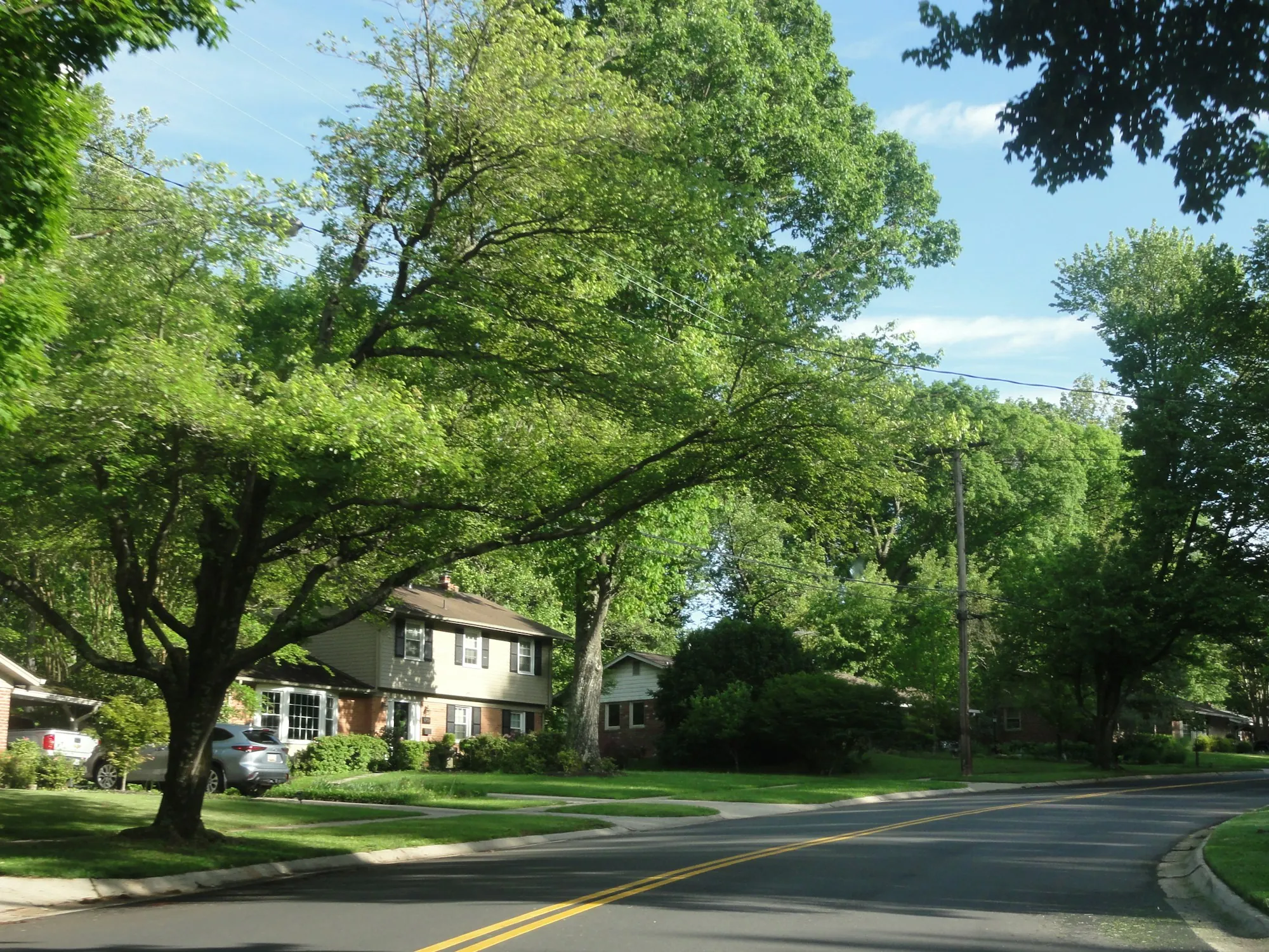 Tree-lined residential road with houses set back from the street